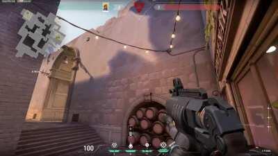 Ascent Post Plant Molly on A