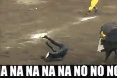 To assert dominance over the bull