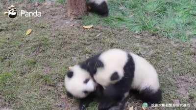 A panda a day keeps the sorrow away
