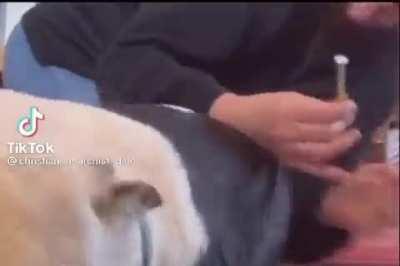 YALL GOING DOWN WIT ME