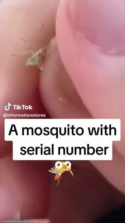 They're spreading it with bugs!!