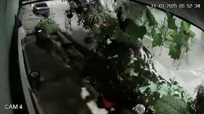 Vecino de Ezpeleta decoró la vereda de su domicilio con plantas y fue víctima de un ladrón que sustrajo varias masetas