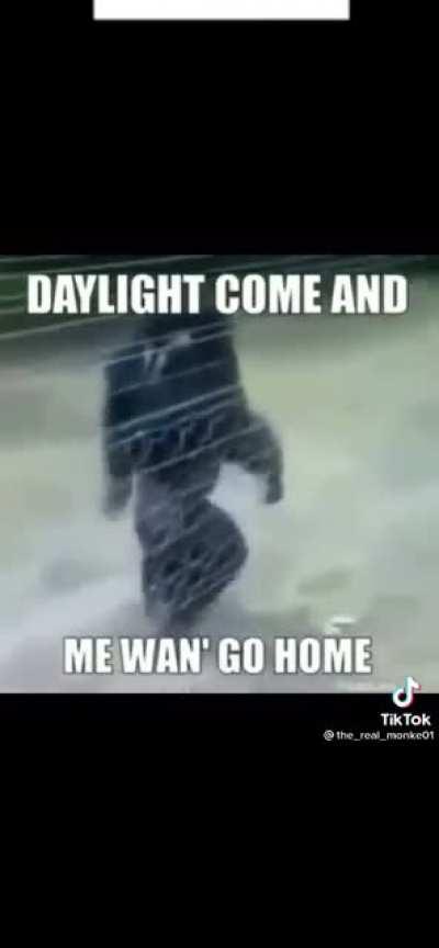 Me wan go home OOH OOH AAAAAHH