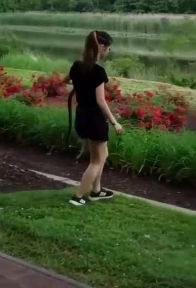 Let the pro handle it