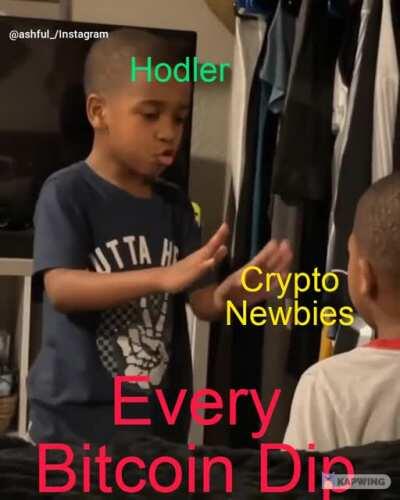 Crypto Newbies every time Bitcoin Dips.