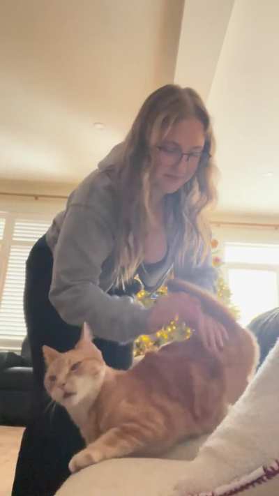 clementine loves bongos