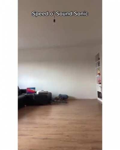 Live actions done RIGHT (@dave_ardito)