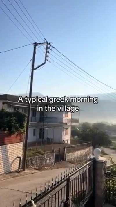 I love it when my Greek daddy screams at me 😏