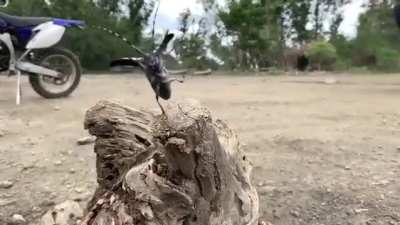 Life flashing before your eyes