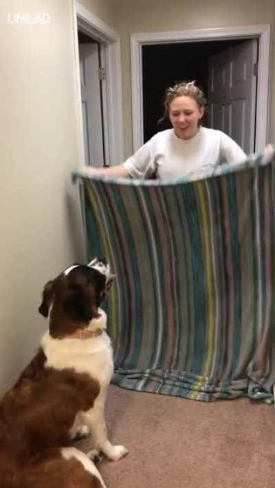 That's a lot of damage