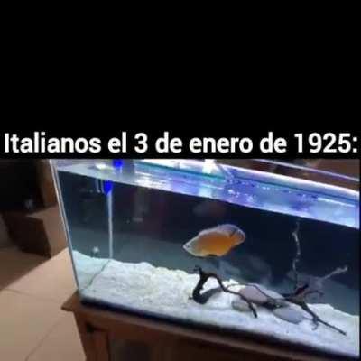 Contexto:benito Mussolini impuso el facismo como único partido político 