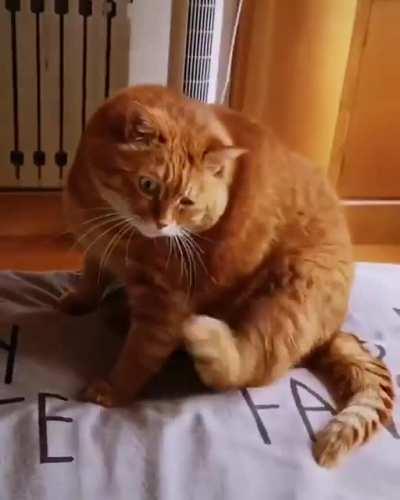 when you get an itch you cant scratch