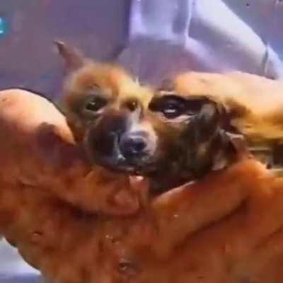 What in the world is this infernal editing???