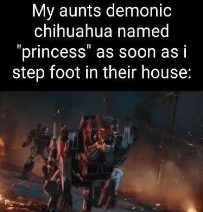 Can't wait for Christmas