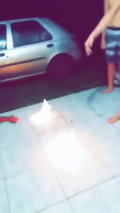 Just...don’t have kids.