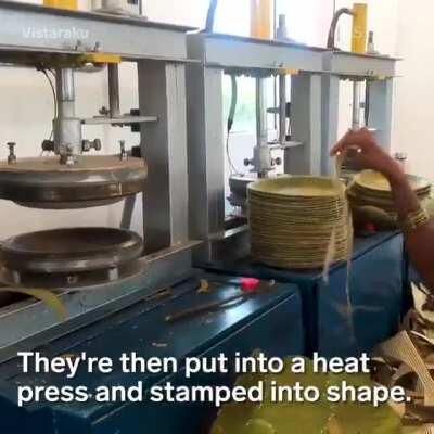 These plates are made from leaves - incredible women innovators of India