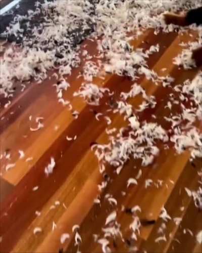 Look at those cute faces; Did they ??