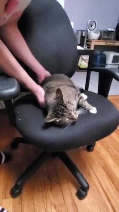 Mochi and my husband going thru their daily routine