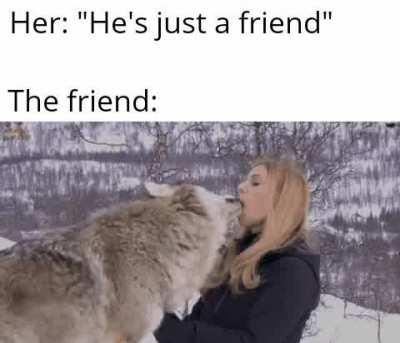 Imma say she's honest