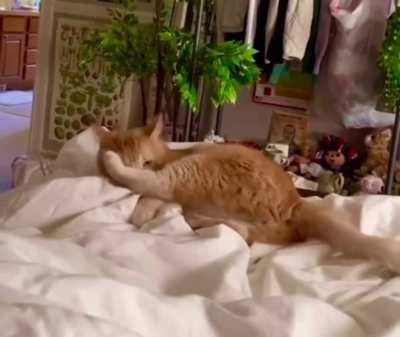 You want a piece of this?!