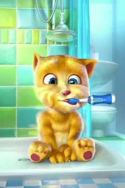 😂🐱😂🐱😂 Wie? Die Ginger bekommt auch die 🦷🦷🦷🦷🦷geputzt? Guten Morgen, ihr Süüüüüüßen!!!!😘🤪🤗🤭🤭🐈🐱