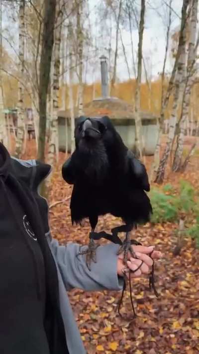 Terrifying but oddly fascinating