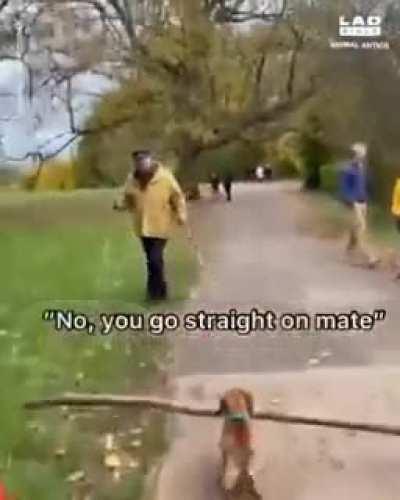 Faramir to Frodo in the books be like 