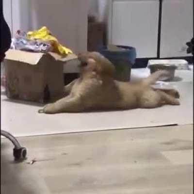 Buenardo el OP de Evangelion