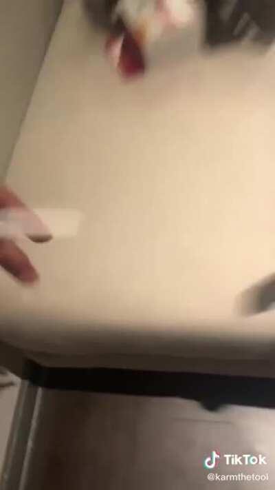 Look how good the animation is!