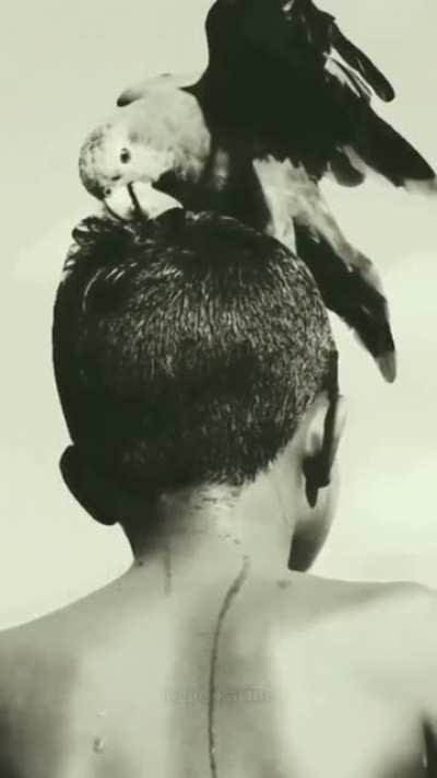 Aqui é o Brasil! 🇧🇷 ❤️