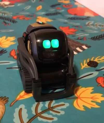 I need this in my life