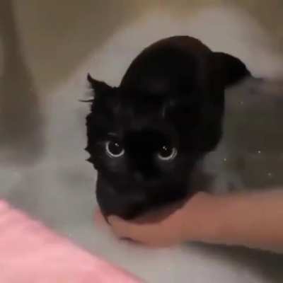 Carwkwhaaashshikeksiwaabsnhthewsacarffdisksksewassasshhtccaerrrskspap