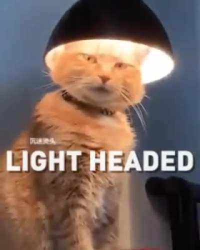 Not my brightest idea