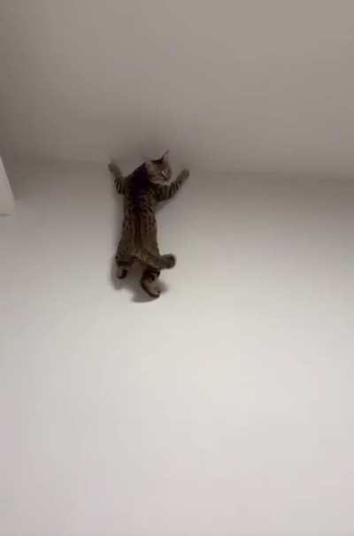 Link studied this video in preparation for Breath of the Wild and Tears of the Kingdom