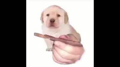 A throwback to old memes