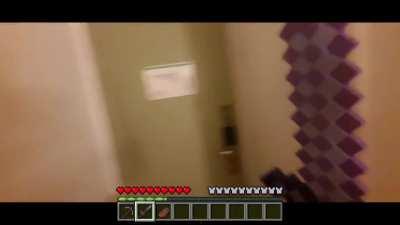 Normal survival minecraft