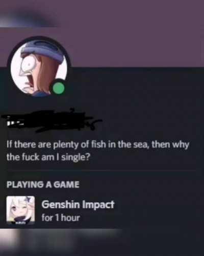 Average discord user