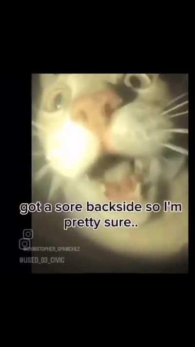 I was vibing to this till he said black guy