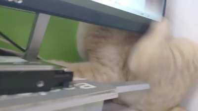 Can't make the itch go away