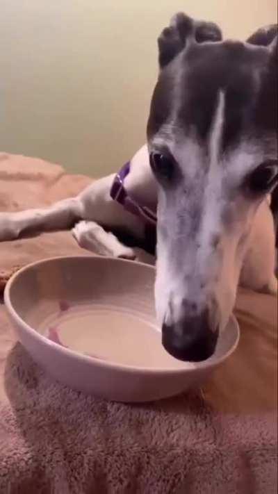 I FUCKING LOVE THUNDERCAT!!!!!!