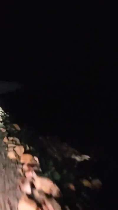 Train in Argentina, traveling on the La Picasa lagoon! View is Fascinating