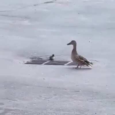 Oh my... oh... oh my God... OH MY GOD!!