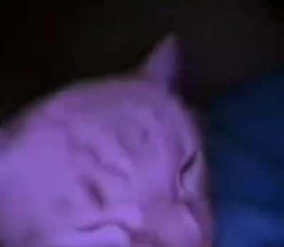 Рожки с кетчупом