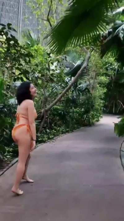 ¿Me seguirías en la selva?
How's my Spanish? I really tried!
If you teach me something,  I'll make a video saying it soon❤️