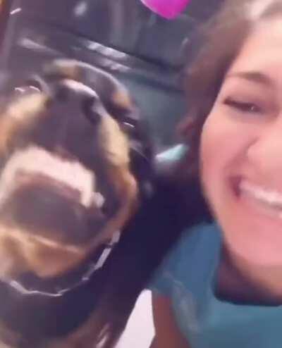 cursed_smiling-dog