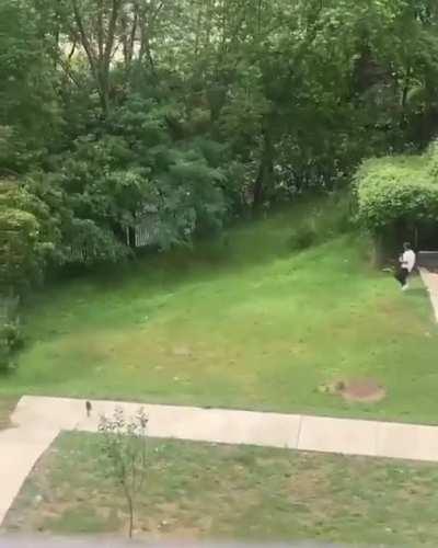 Nah nyc really jumanji🤣🤣