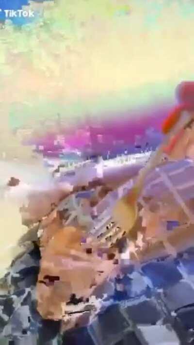 El cerebro de timo al decir tallo