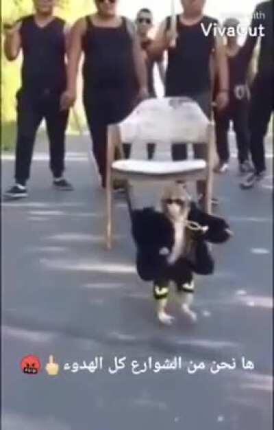 Boss there is only one🤐🔥