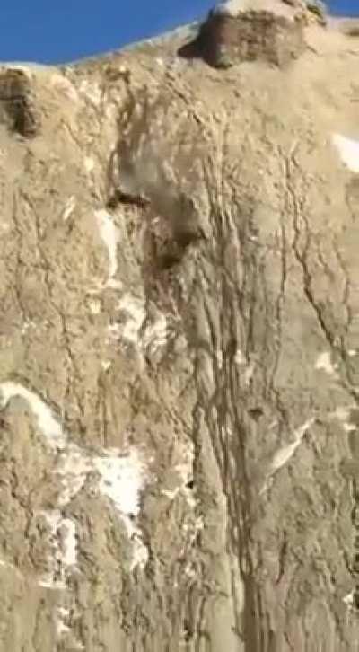 O cara é bom mesmo PogU