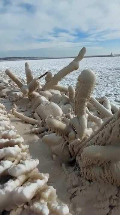 I just couldn't get enough of these ice dicks!